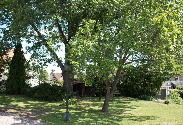 Katrinelunds Bed & Breakfast Västerås Buitenkant foto